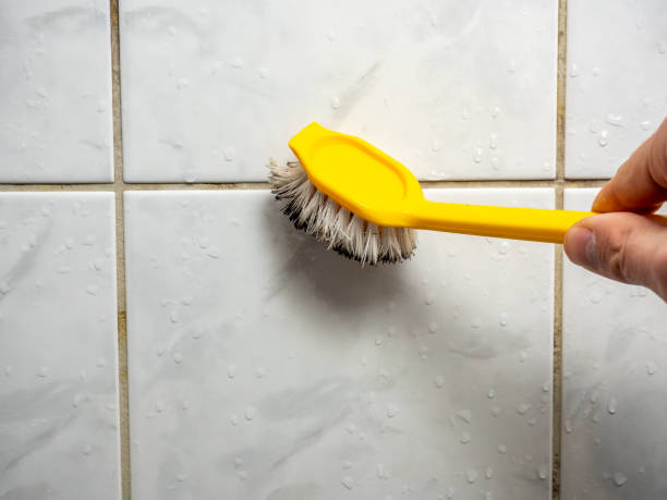 Best Fast Mold Removal  in San Diego, CA