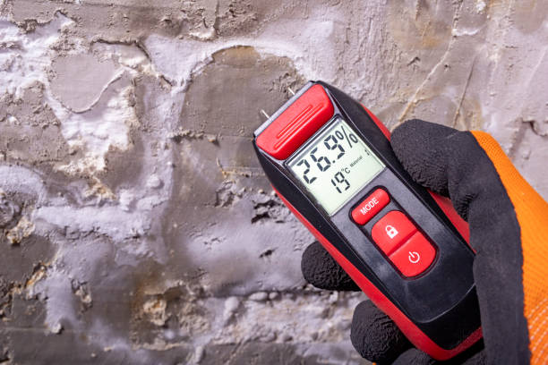 Mold Removal Process in San Diego, CA