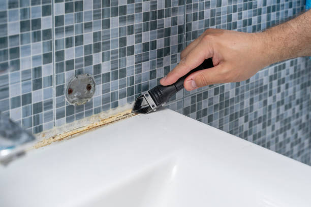 Best Mold Cleaning Services  in San Diego, CA