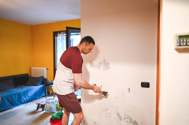 Best Mold Removal Company Near Me  in San Diego, CA